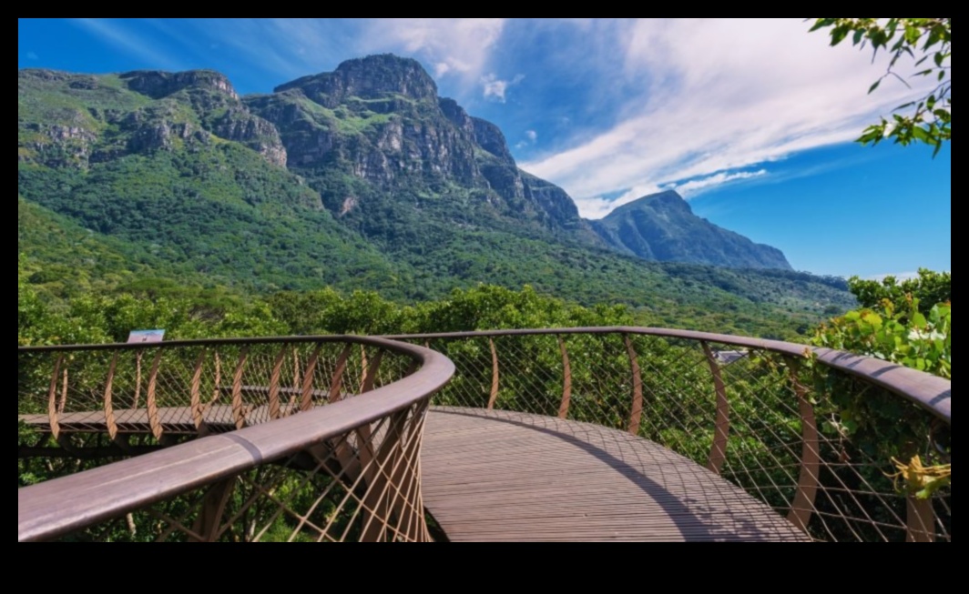 Nojumes hronikas: pasakas no brīvdabas svētlaimes koku galotnēm