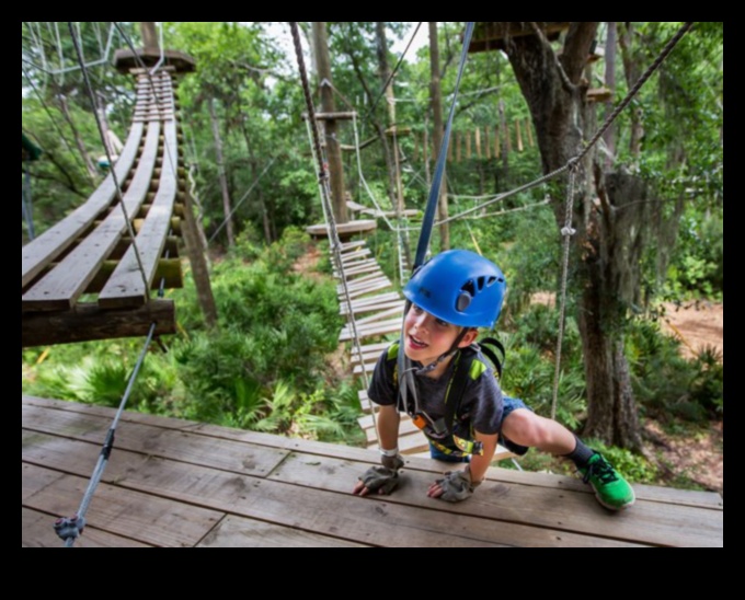 Nojumes hronikas: pasakas no brīvdabas svētlaimes koku galotnēm
