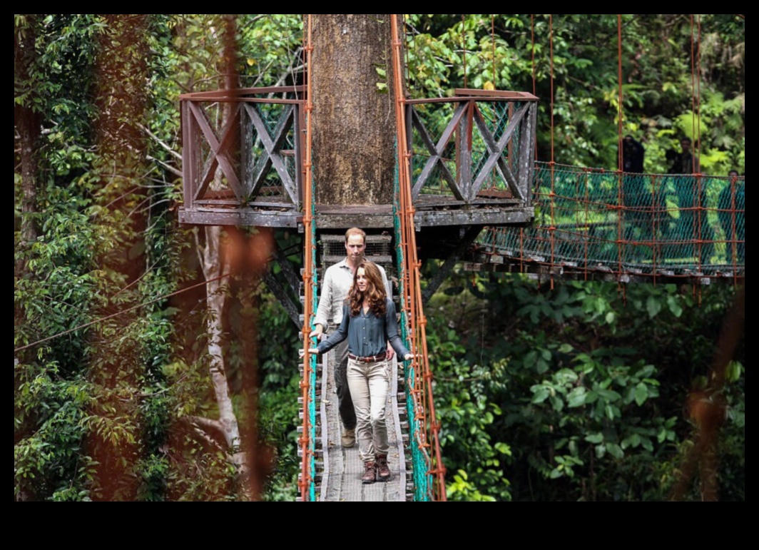 Nojumes hronikas: pasakas no brīvdabas svētlaimes koku galotnēm