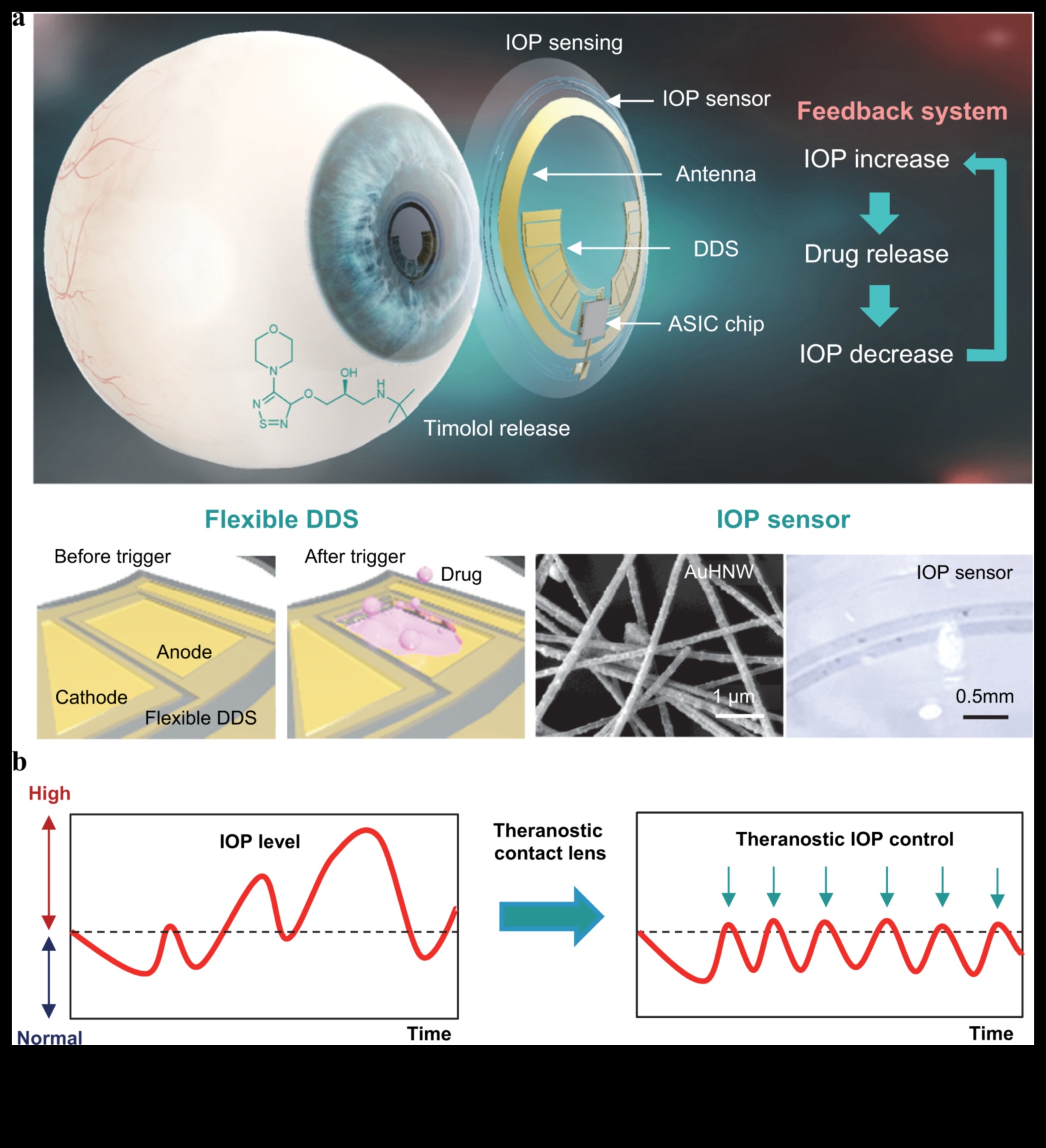 Biotehnoloģiju perspektīvu izstrāde: māksla, izmantojot dažādus veselības tehnoloģiju objektīvus