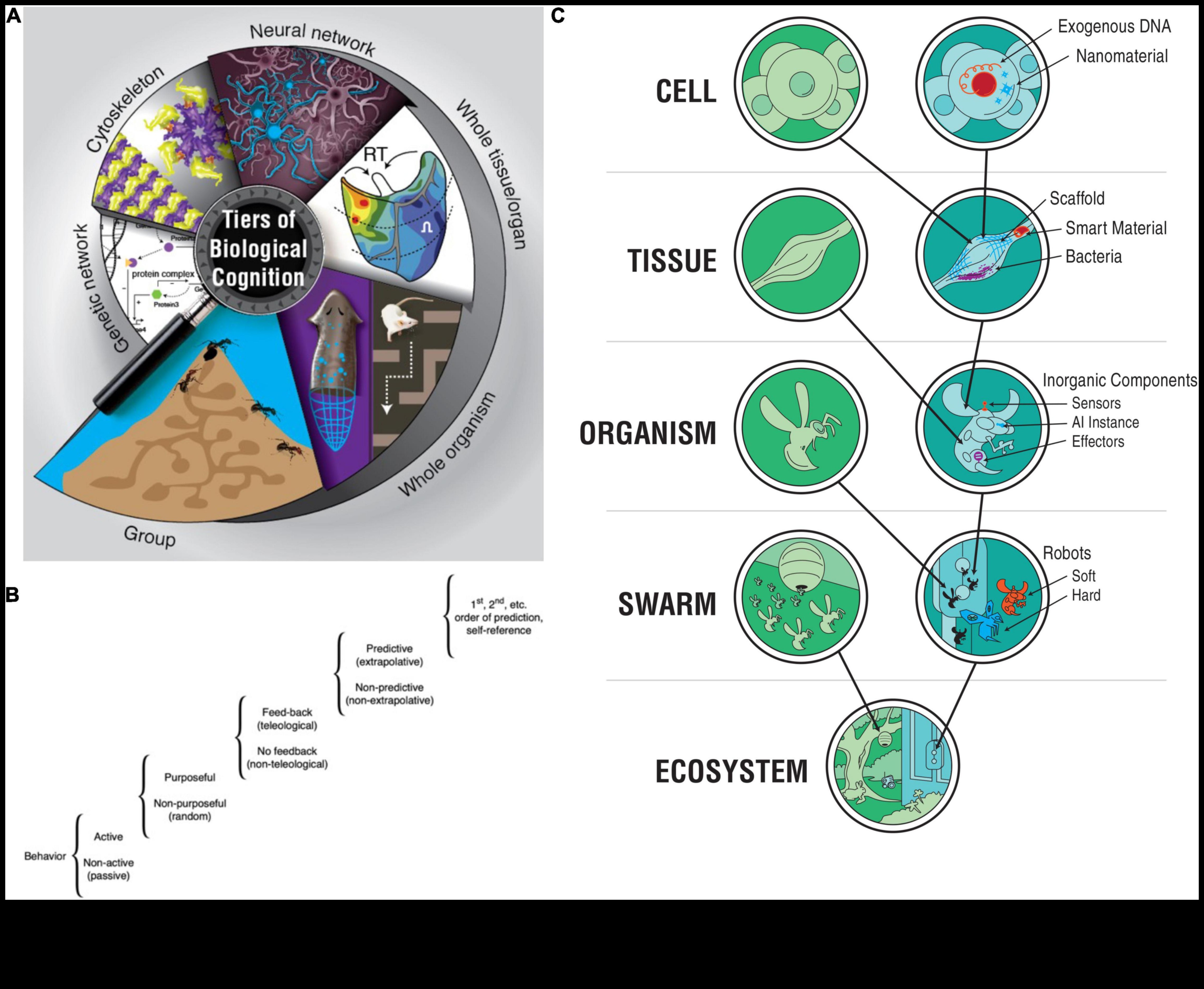 Pārsniedzot ģenētiskās robežas: mūsdienu biotehnoloģiskās izpētes ierobežojumu pārkāpšana