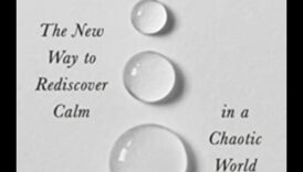 Uzmanīga gudrība: grāmatas, kas ved uz dziļāku meditāciju