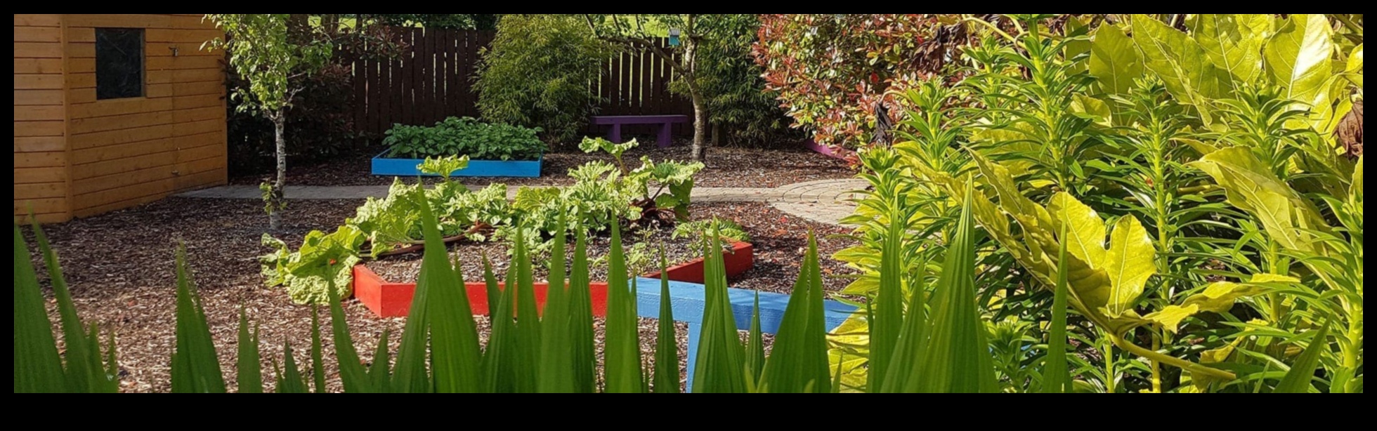 Bouncing Blossoms: Rotaļīgs ziedu stādaudzētavas veselības ieskats