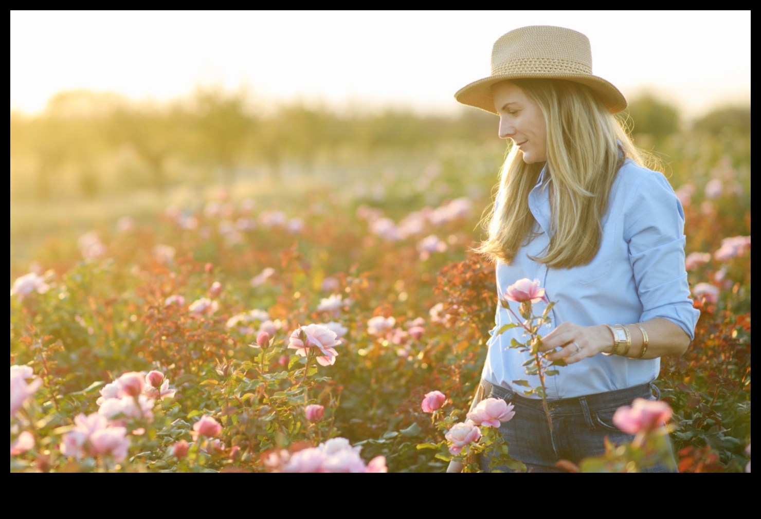 Bouncing Blossoms: Rotaļīgs ziedu stādaudzētavas veselības ieskats