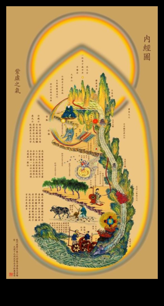 Uzmanīga kartēšana: navigācija ķermeņa skenēšanas dziļumos