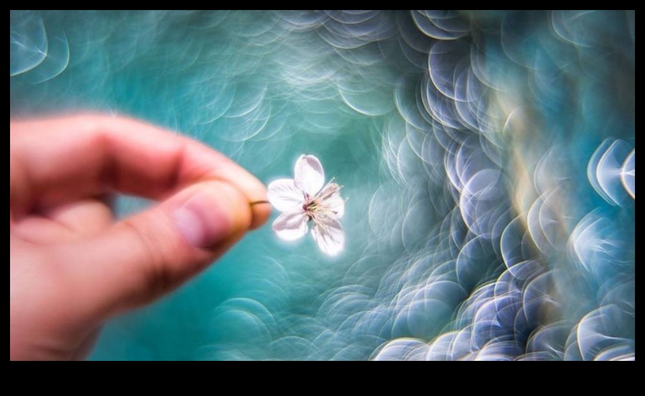 Elpu aizraujošs Bokeh: kameras ar skaistu fona izplūšanu