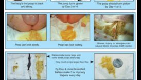 Autiņbiksīšu dienasgrāmatas: ceļvedis vecākiem, kā mainīt