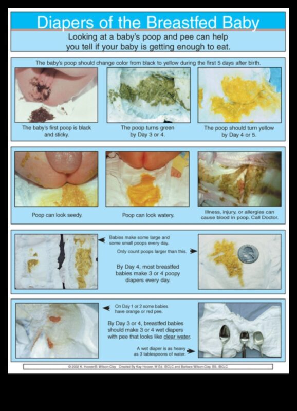 Autiņbiksīšu dienasgrāmatas: ceļvedis vecākiem, kā mainīt