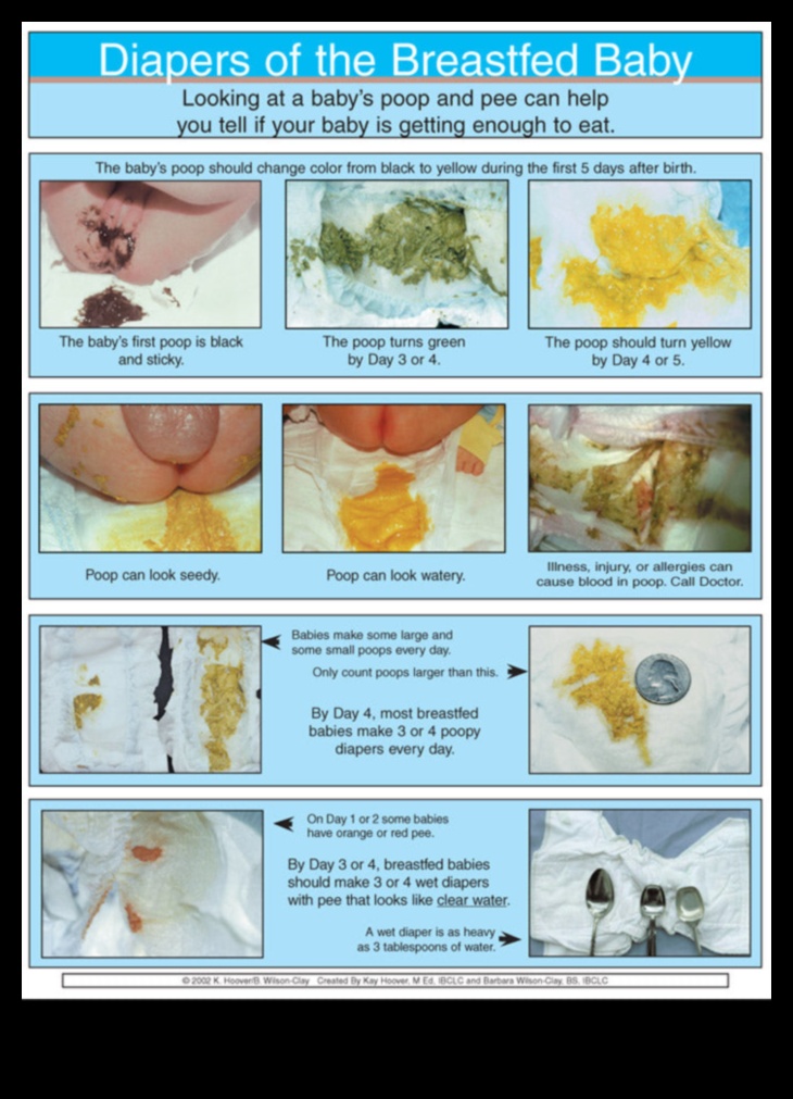 Autiņbiksīšu dienasgrāmatas: ceļvedis vecākiem, kā mainīt