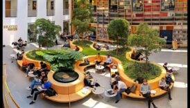 Zaļais audekls: kur idejas pārtop ilgtspējīgā realitātē